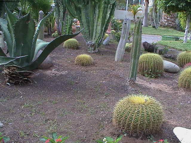Maspalomas