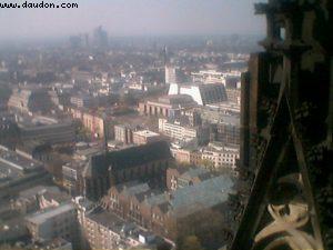 5 Cologne 