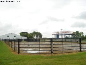 Dallas