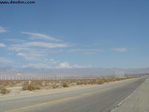 Palm Springs