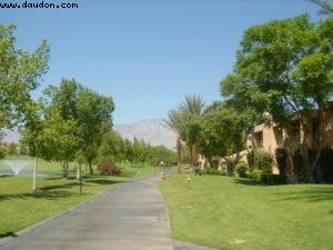 Palm Springs