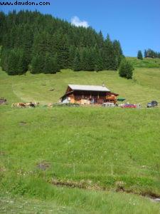Grindenwald