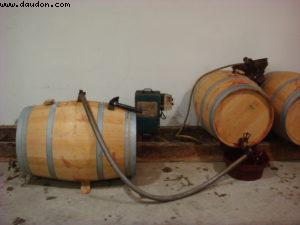 Pauillac