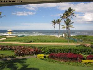 Surfers Paradise