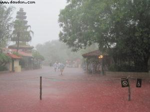 Magic Kingdom - Orlando