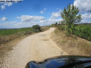 Lost in Rioja