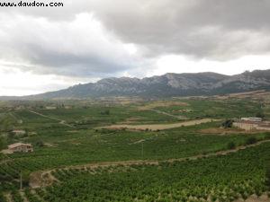 Rioja