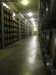Marqués de Riscal Bodega