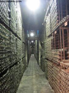Marqués de Riscal Bodega