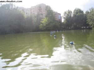 Toulouse