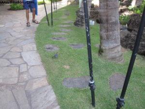 Honolulu - Our 7th RSVP cruise (Pride of Hawaii)