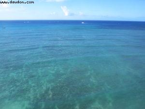 Honolulu - Our 7th RSVP cruise (Pride of Hawaii)