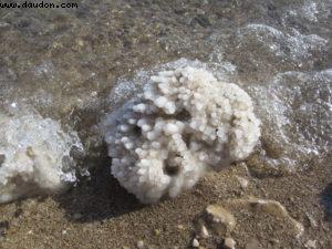 La Mer Morte