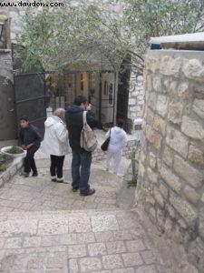 Safed - Nord d'Israël 