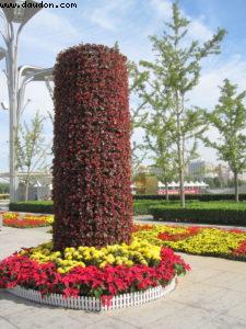 Olympic Park - Beijing