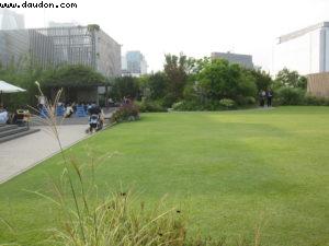 Ginza - Garden on the top of a buiding (Setan) - Tokyo