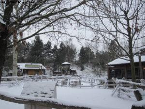 Disneyland Paris sous la neige