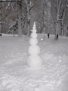Tempête de neige - New York