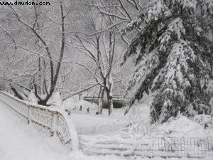 Tempête de neige - New York