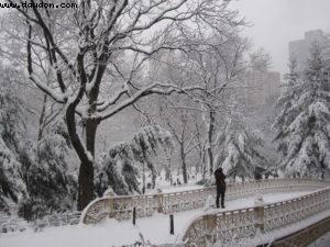 Tempête de neige - New York