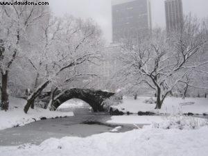 Tempête de neige - New York