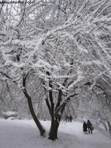Tempête de neige - New York