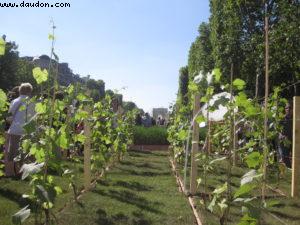 Paris Nature - Paris