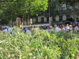 Paris Nature - Paris