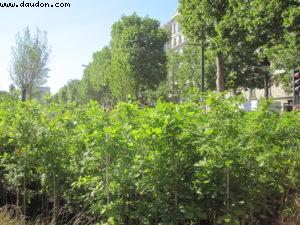 Paris Nature - Paris