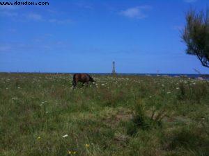 Cap de la Hague