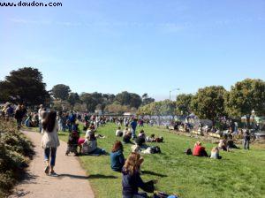 Fleet Week Air Show - San Francisco
