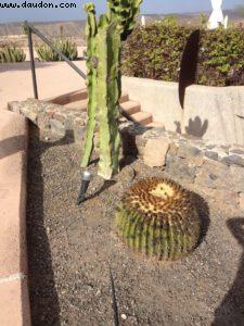 Sheraton Salobre Hôtel et Spa - Maspalomas