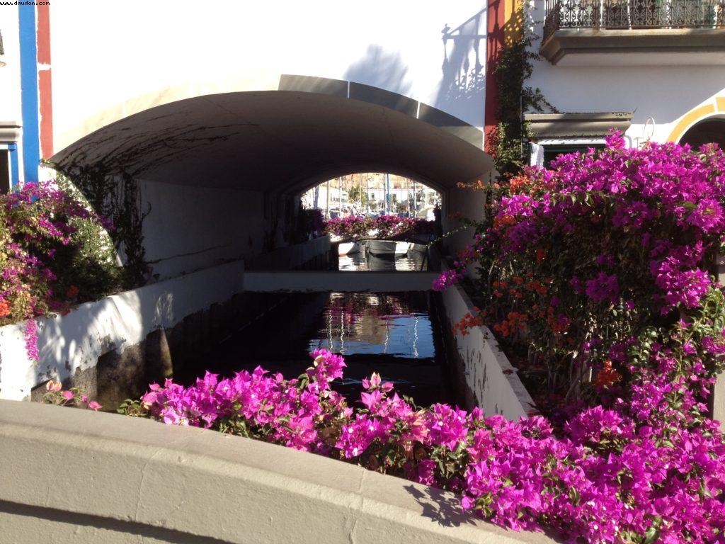 Puerto de Mogan