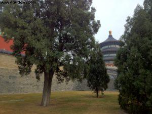 Tian Tan Park - Beijing