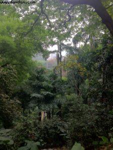 Yuexiu Park - Guangzhou