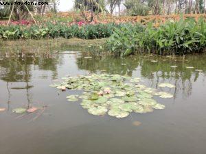 Haizu Lake Park - Guangzhou