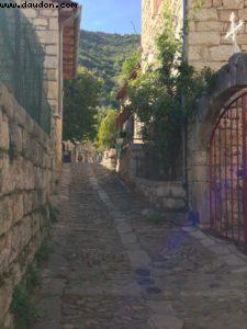 Gorges du Tarn