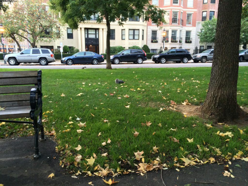 Boston