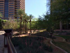 Phoenix