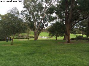 Kings Park and Botanical Garden - Perth