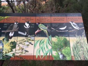 Kings Park and Botanical Garden - Perth