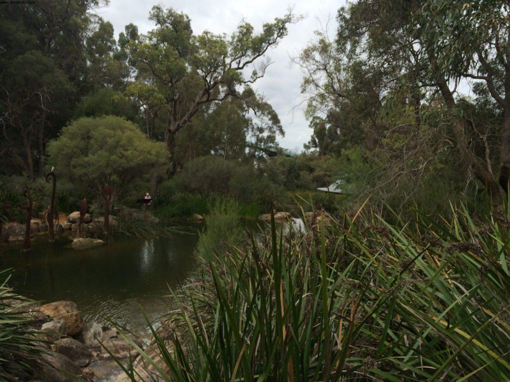 Kings Park and Botanical Garden - Perth