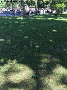 Central Park - New York City