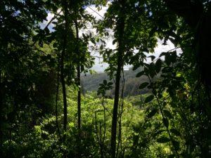 Hiking - Honolulu