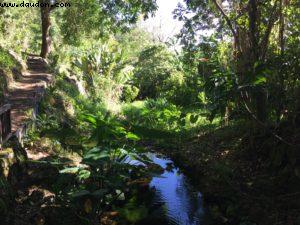 Hiking - Honolulu