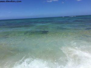 North Shore