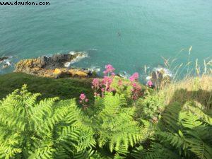 Randonnée de Bray à Greystones