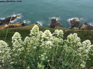 Randonnée de Bray à Greystones