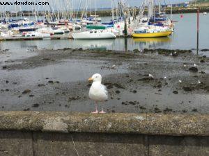 Howth