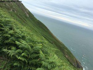 Randonnée le long de la falaise - Howth